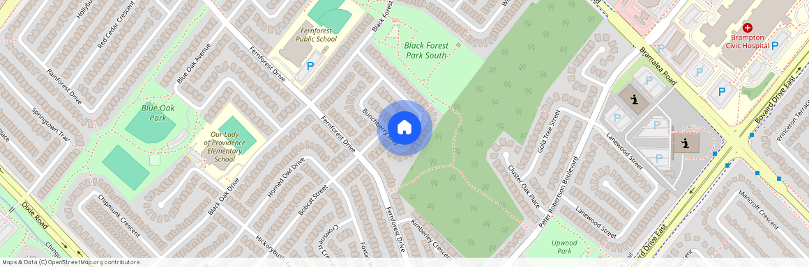 95 BUNCHBERRY WAY, Brampton, Sandringham-Wellington