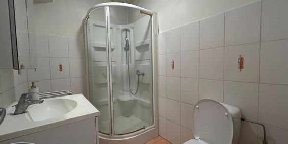 Location Appartement 1 pièce 30m² ANNEMASSE 74100 - Photo 3