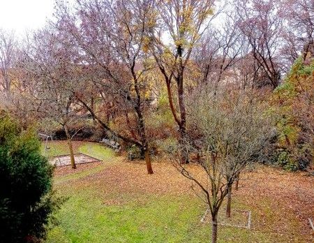 Wohnglück sucht nette Mieter - Zweiraumwohnung mit Duschbad am Stresemannplatz - Foto 1