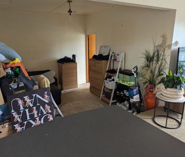 Elevated 3BR Home w/ Garden & Deck - Photo 1