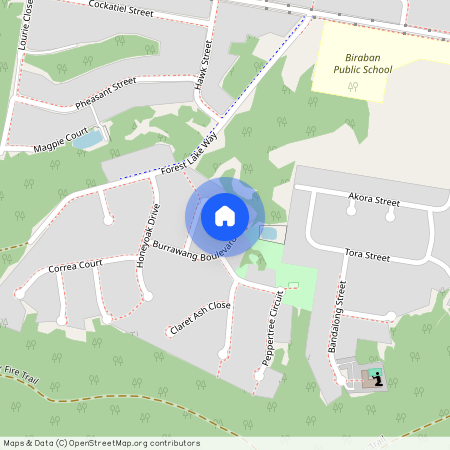 15 Burrawang Boulevard, NSW 2283, Toronto