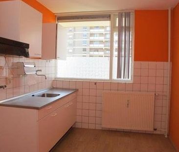 Dadeltuin 3078 KZ Rotterdam - Photo 3