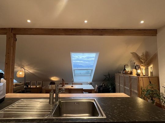 Loft in the attic under the station in Lausanne - Foto 1