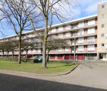 Predikherenlaan 0ong, 5042 Tilburg, Nederland - Foto 2