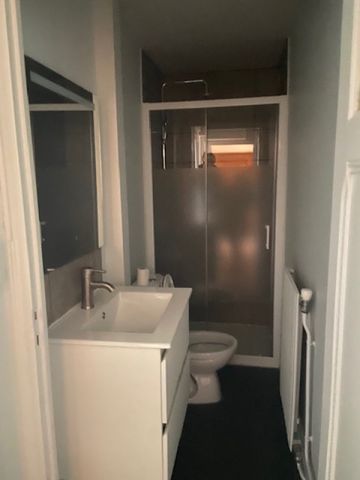 Location Appartement 1 pièce 28m² VANDOEUVRE LES NANCY 54500 - Photo 5