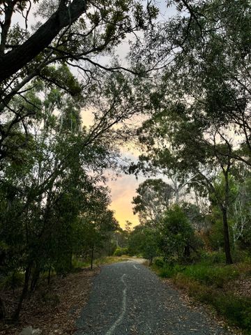 Willawong - Photo 5
