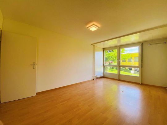 2.5 Zimmer, 57 m², 3. Stock - Foto 1