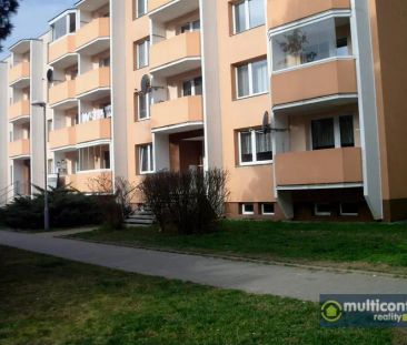 Pronájem bytu 1+1 ve Vyškově, sídliště Palánek - Fotografie 2