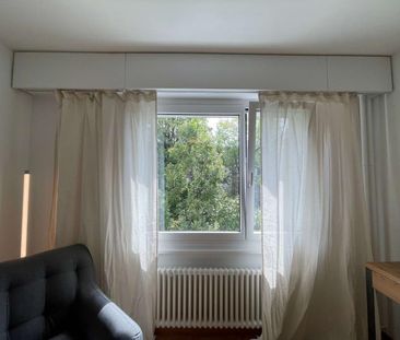 Delphine #2 - Photo 3
