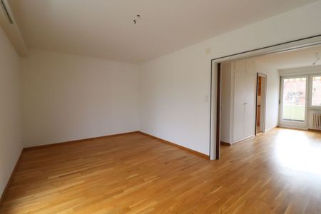 Basel, Nähe Grenze Allschwil - 4-Zimmer-Dachwohnung mit 2 Dachterrassen (ideal für 1-2 Personen) - Foto 2