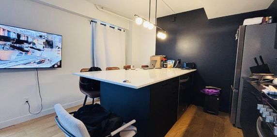 Loft entièrement meublé à louer Saint-Jean-Baptiste août 2026 - Photo 2