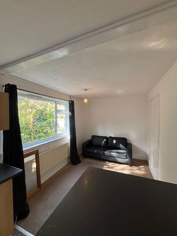 Rushlake Road, Brighton - Photo 5