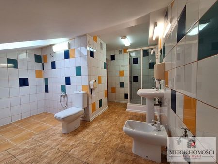 Do wynajęcia - na biuro, gabinet, mieszkanie, 80 m2 - Zdjęcie 4
