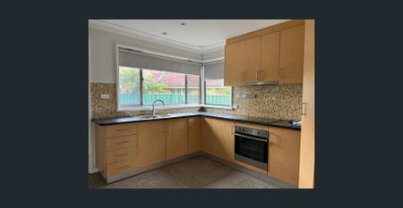 Large Family Yard - Photo 4