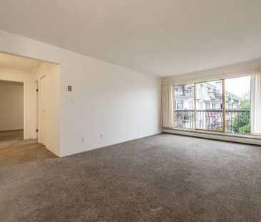 Seaport Apartments - 1 Bedroom - Available January 1st - Photo 3