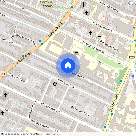 Flat 1, 77 Wellesley Avenue, BT9 6DH, Belfast