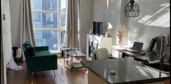 Short term Furnished downtown pet-friendly studio with amenity - Photo 2