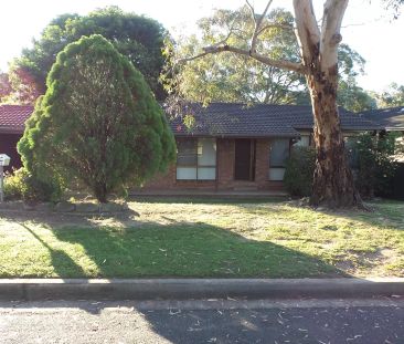 One for the Family - Photo 4