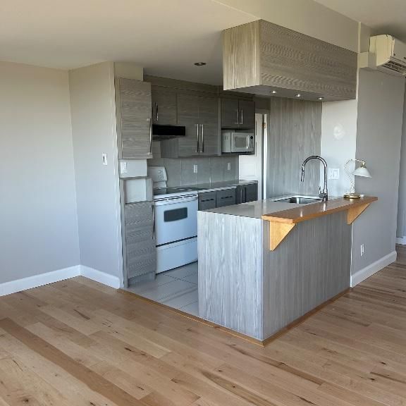 Condo à Louer vue sur le fleuve et les plaines d’Abraham - Photo 1