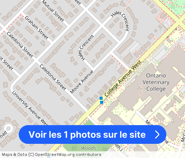 32 Moore Ave, Guelph - Photo 1