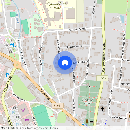 Walter-Ilse-Str. 7, 37170 Niedersachsen - Uslar