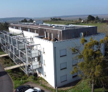 Location Appartement 3 pièces 55m² CHINON 37500 - Photo 4