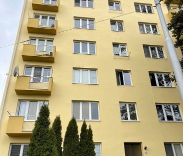 Pronájem bytu 3+1 75 m² - Photo 4
