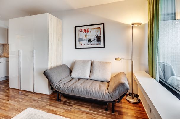 Nice furnished rental in Au-Haidhausen - Photo 1