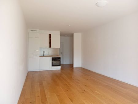 1 Zimmer-Wohnung | Garten mit Terrasse | Linz | verfügbar ab sofort - Photo 2