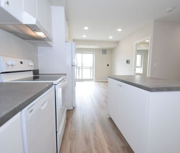 For Lease - 50 Herrick Avenue Unit# 228, St. Catharines, Ontario - Photo 4