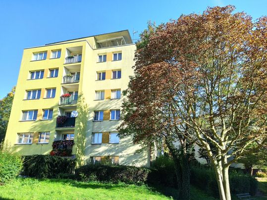 Mieszkanie Drzetowo Szczecin, ul. Willowa, nr 436723 - Photo 1