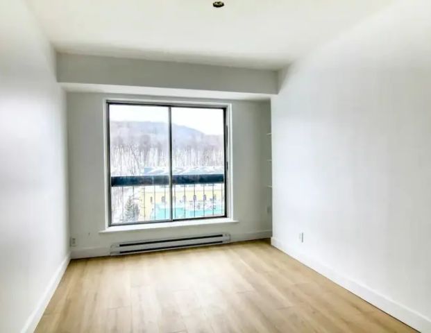 1 de la Cote-Saint-Catherine | 1 Cote-Sainte-Catherine, Montreal - Photo 1