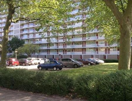 Spuikreek 3079 AC Rotterdam - Photo 4