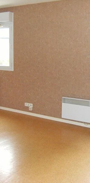 Location appartement 1 pièce, 21.00m², Angers - Photo 1