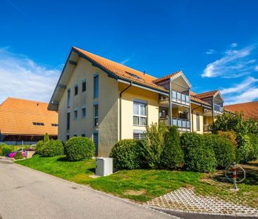 2 Nettomietzinse geschenkt, wenn Einzug vor Weihnachten - Photo 6