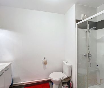 Location Appartement 1 pièce MAIZIERES LES METZ 57280 - Photo 2