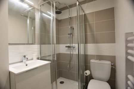 GRIFFOUL Roommate 4 Bedrooms at Toulouse - Photo 5