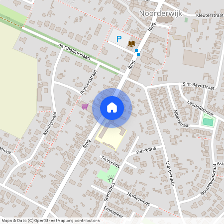 Ring 61 201, 2200 Noorderwijk