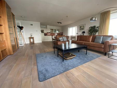 Landverhuizersplein - Foto 4