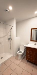 1 CH - 1 SDB - Montréal - $1,245 /mo - Photo 4