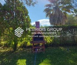 Μεζονέτα για ενοικίαση - Παλλήνη, - Photo 6