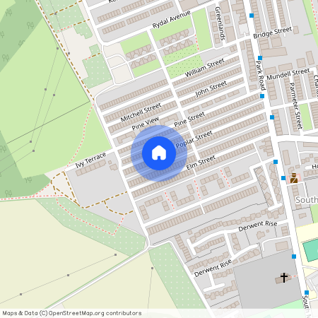 Poplar Street, South Moor, DH9