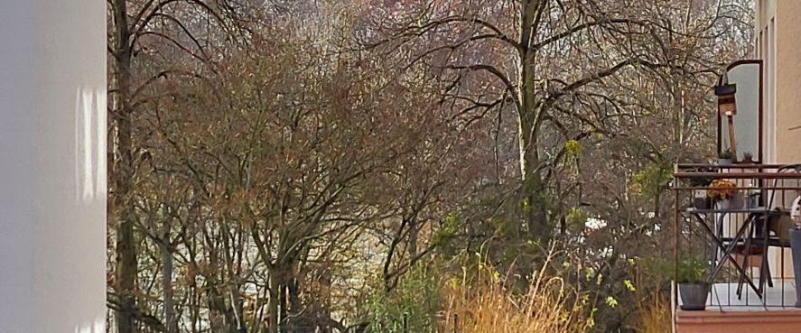 ein wenig Rheinblick -Rheinvillenstr. 11 \ 1. Obergeschoss \ Obj. rechts - Photo 1