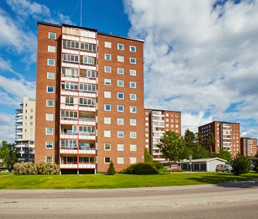 Pettersbergsgatan 28 - Photo 3