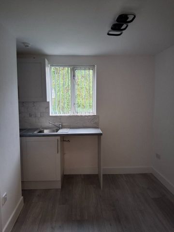 Studio Flat, Burlington Gardens, W3 - Photo 5