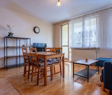 Las Bródnowski|Metro Kondratowicza|Zielone Zacisze - Zdjęcie 4