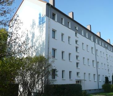 Spaziergänge im Robert-Koch-Park genießen - Foto 1