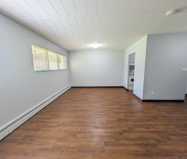 2B Arlington Ave, St. Catharines (104) - 1 Bedroom Apartment - Photo 4