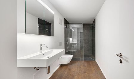 Newly built apartment for rent on the 1st floor with a dream view - Foto 4