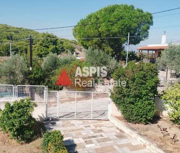 Μονοκατοικία για ενοικίαση Πόρτο Ράφτη (Μαρκόπουλο) - Photo 2